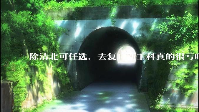 除清北可任选，去复旦新工科真的很亏吗?
