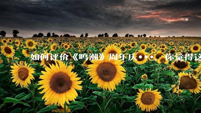 如何评价《鸣潮》周年庆***，你觉得这次***是否达到玩家预期？